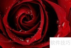包包必备好物清单