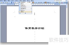 2003版Word加密方法