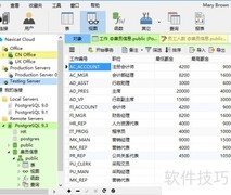 Navicat for PostgreSQL视图使用指南