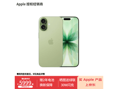 Apple iPhone 17 5G手机 鼠尾草绿