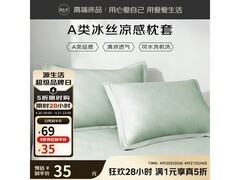 源生活冰丝凉感枕套一对装