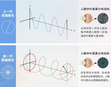 权威护眼认证加持 飞利浦圆偏光显示器筑牢职场健康防线