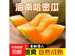 海南西州密哈密瓜8 - 9斤，仅20.55元，速来！