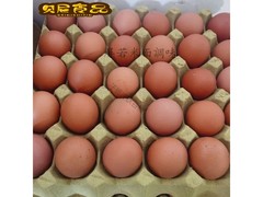 新鲜溜达散养红皮鸡蛋，原价8.21元券后仅2.21元