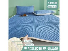 朴顿庄园60120cm冰丝凉席14.9元包邮