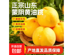 正宗蒙阴黄油桃5斤带箱，现20.9元抢鲜！