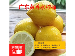 广东香水黄柠檬拍2单发9粒，3.79元超值购！