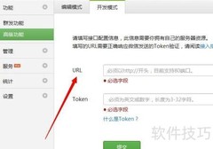 开发模式接口配置入门