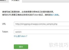 开发模式接口配置入门