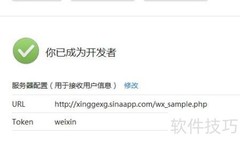 开发模式接口配置入门