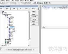 VF6.0页框属性设置技巧