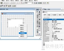 VF6.0组合框可选项设置