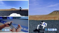 当机器人跑赢人类，远程遥操这项技术的竞赛，才刚刚开始