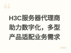 H3C服务器代理商助力数字化，多型产品适配业务需求