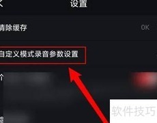 录音专家双声道设置技巧