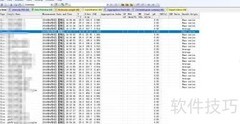 DLS数据导出方法指南