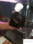 清洁鱼缸过滤器的简单方法