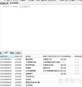 Navicat BLOB文件修改方法