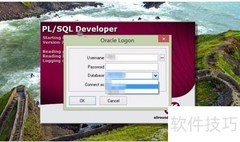 Oracle数据库数据源设置指南