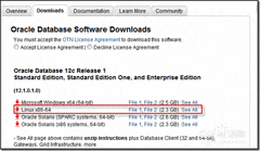 Linux安装Oracle 12c步骤