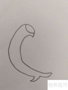 儿童简笔画：可爱小鸽子