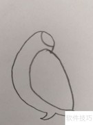 儿童简笔画：可爱小鸽子