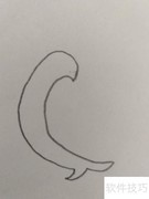儿童简笔画：可爱小鸽子