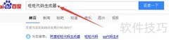 网站安装旺旺代码教程
