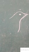 儿童简笔画：小鸽子绘画教程
