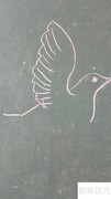 儿童简笔画：小鸽子绘画教程