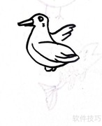 小鸽子线描画教程