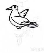 小鸽子线描画教程