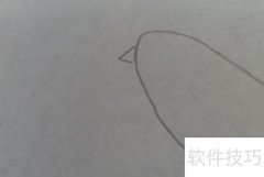 鸽子简笔画教程：轻松几步学会