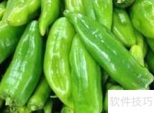 辣椒的多彩世界