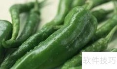 辣椒的多彩世界