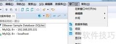 DBeaver查看数据库服务器信息