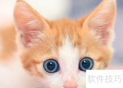 法务审核合同要点