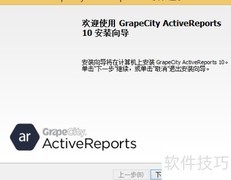 报表工具安装指南
