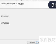 报表工具安装指南