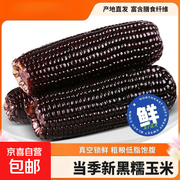 头茬东北黑糯玉米，原价7.99元领券3.99元！