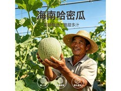 京觅海南西州蜜25号哈密瓜，到手仅20.9元！
