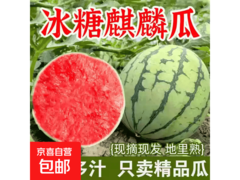 夏日特惠！5 - 6 斤正宗麒麟西瓜整箱包邮仅 12.4 元