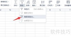 电子文档高级筛选设置技巧