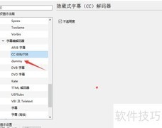VLC关闭保存raw数据方法