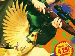 真人版〈坂本日常〉新角色公布，第二季制作确定引爆期待