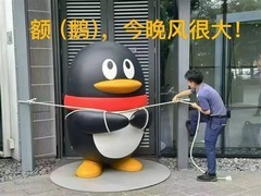 腾讯栓Q提醒引热议，台风天安全警示变网络热梗