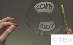 . com三十周年与花生壳解析