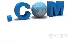 . com三十周年与花生壳解析