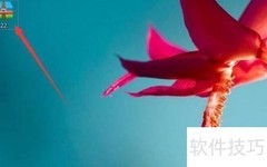 如何播放ZIP格式的视频