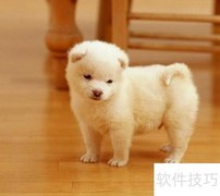 许特尔训练法：高效提升秘诀
